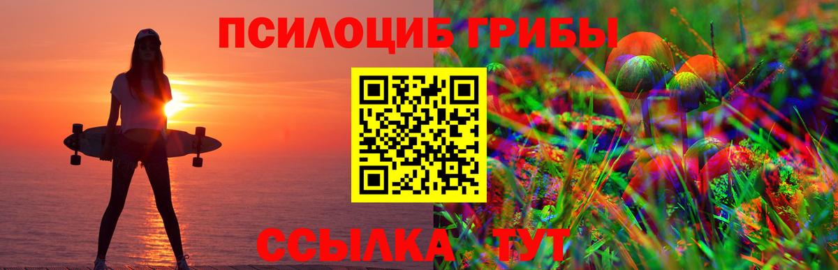 Галлюциногенные грибы Psilocybe  Вход с VPN  Псилоцибиновые грибы мицелий  Ирбит 